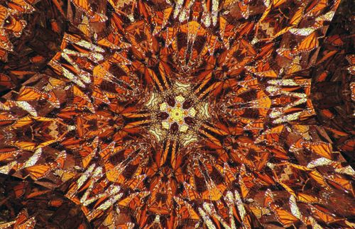 Un deuxième kaléidoscope de papillons
